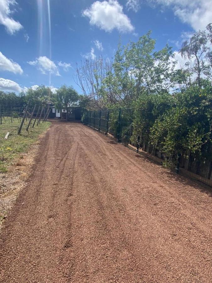 Casita Entre Vinedos, Experiencia Rural, Ideal Ninos. Tegueste 외부 사진