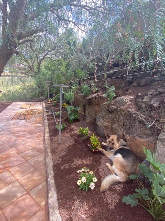 Casita Entre Vinedos, Experiencia Rural, Ideal Ninos. Tegueste 외부 사진
