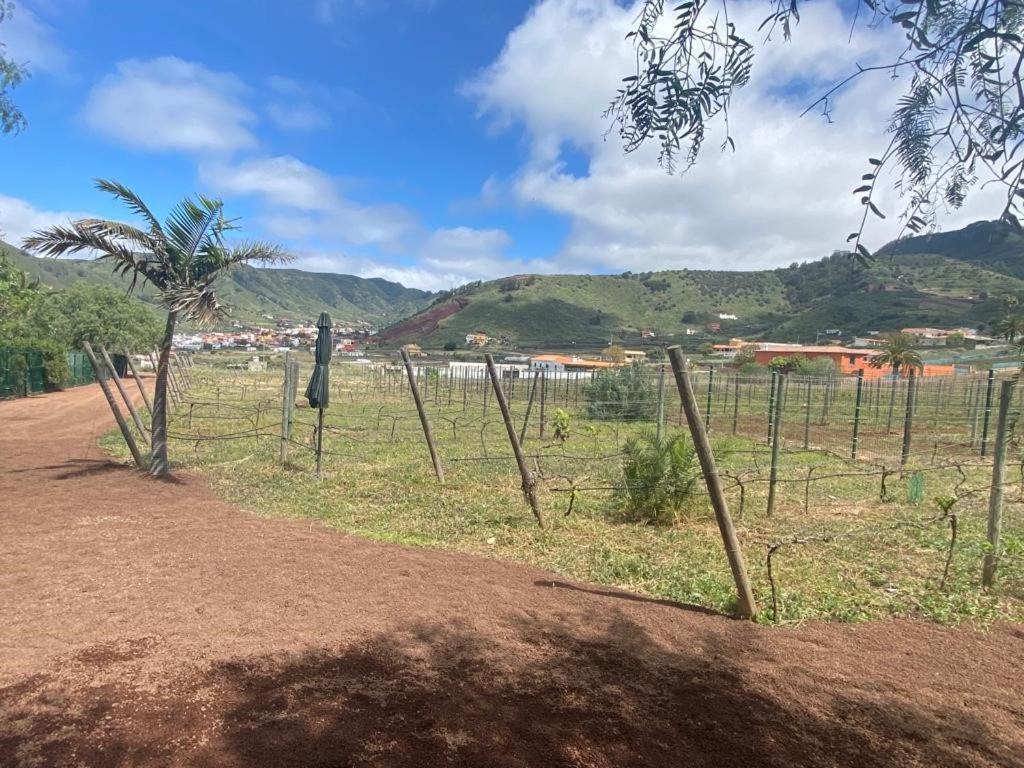 Casita Entre Vinedos, Experiencia Rural, Ideal Ninos. Tegueste 외부 사진