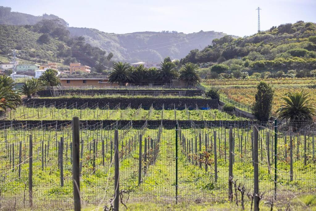 Casita Entre Vinedos, Experiencia Rural, Ideal Ninos. Tegueste 외부 사진