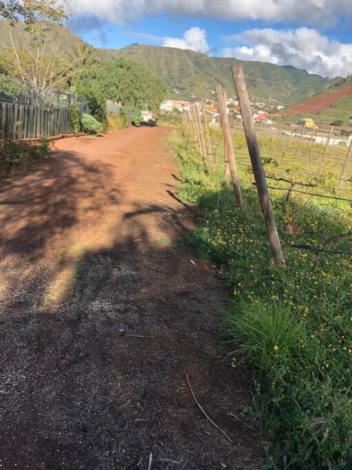 Casita Entre Vinedos, Experiencia Rural, Ideal Ninos. Tegueste 외부 사진