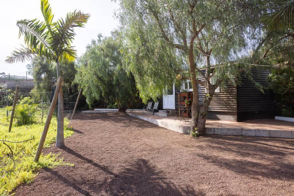 Casita Entre Vinedos, Experiencia Rural, Ideal Ninos. Tegueste 외부 사진