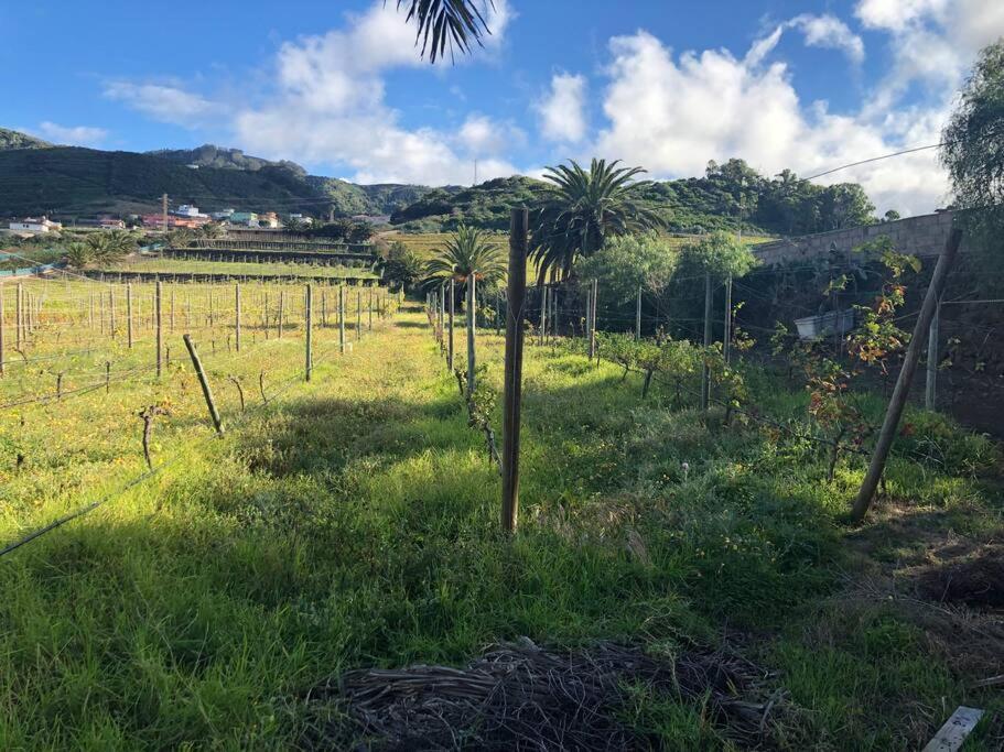 Casita Entre Vinedos, Experiencia Rural, Ideal Ninos. Tegueste 외부 사진